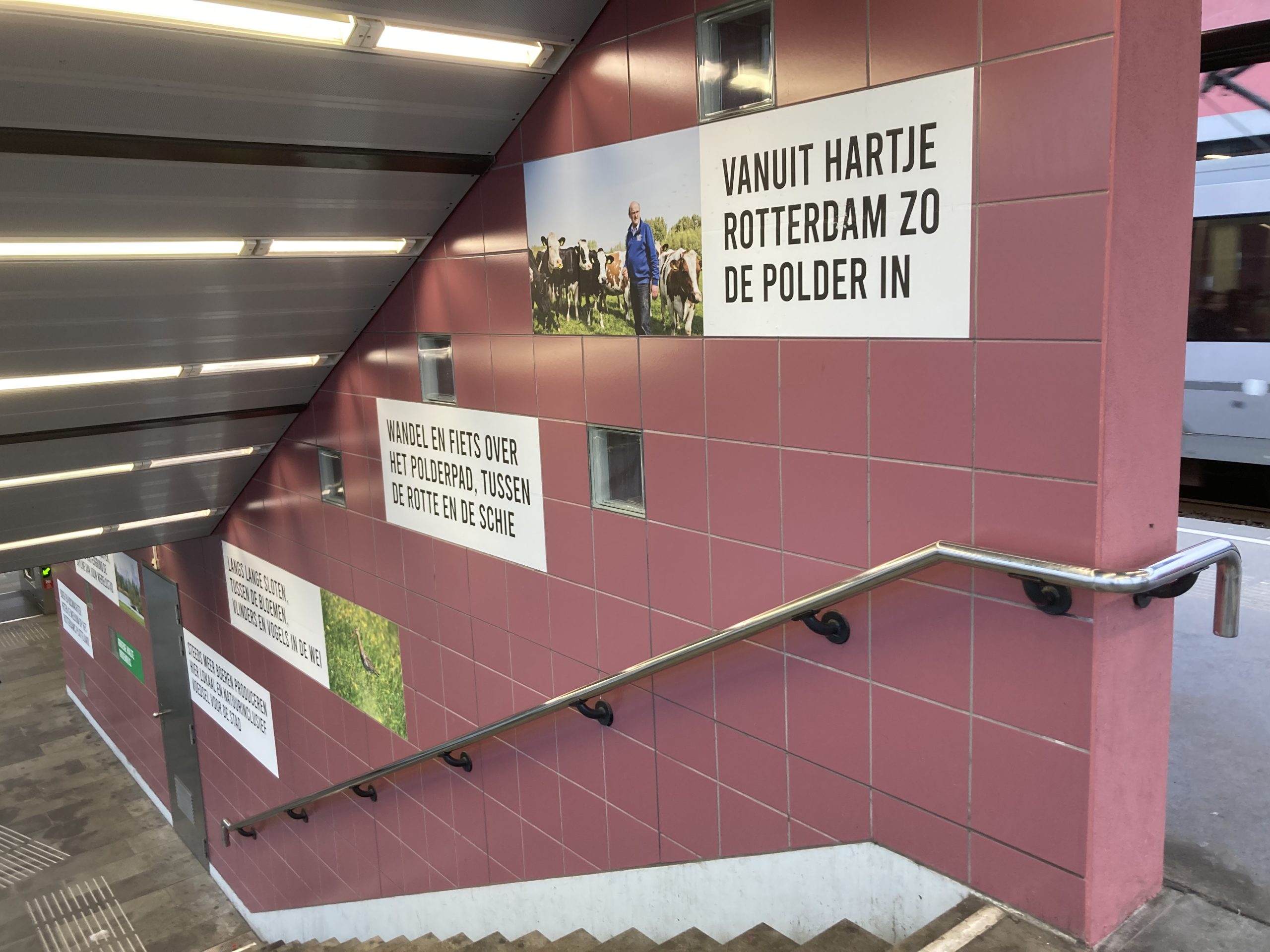 Stationsaankleding met wandelroutes bij Groene Halte Rodenrijs